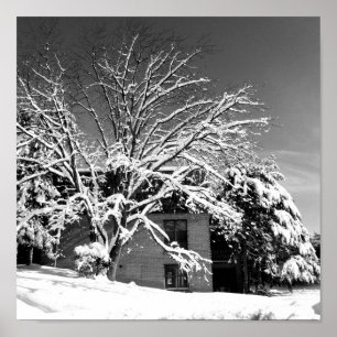 Pôster Explosão B do inverno+W