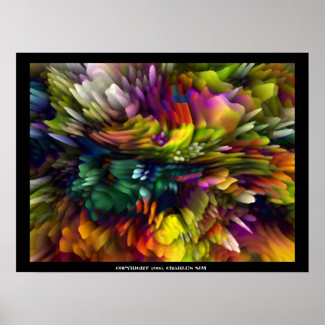 Poster Explosão de cor (Frente)