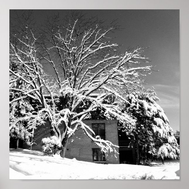 Pôster Explosão de inverno B+W (Frente)