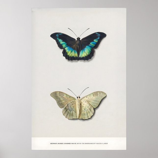 Poster Exposição de Arte Impressa Georgius van Os Dois (Frente)