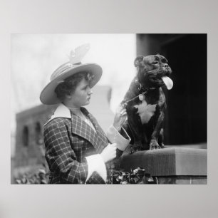 Poster Exposição de cães 1915