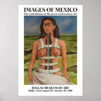 Poster Exposição Frida Kahlo Arte A Coluna Quebrada 198