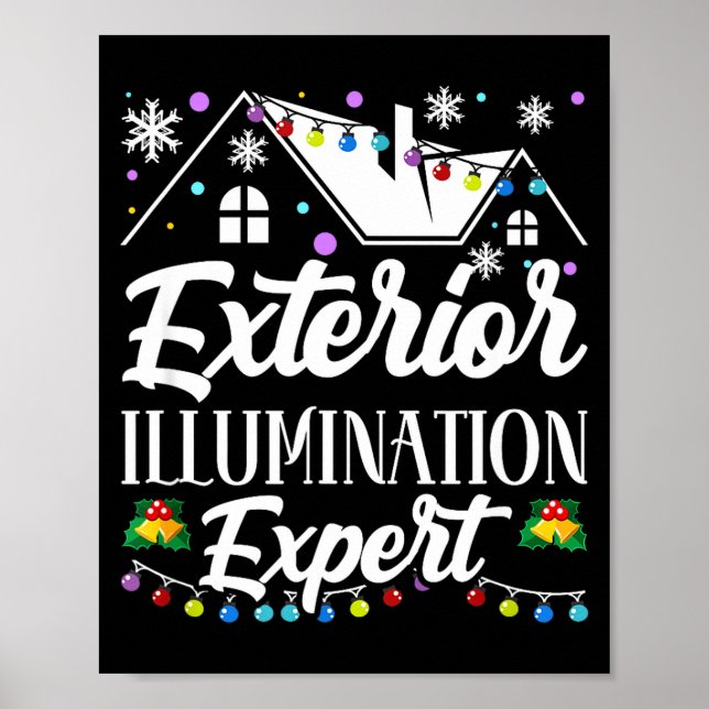 Poster Exterior Illumination Expert Funny Christmas Decor (Frente)