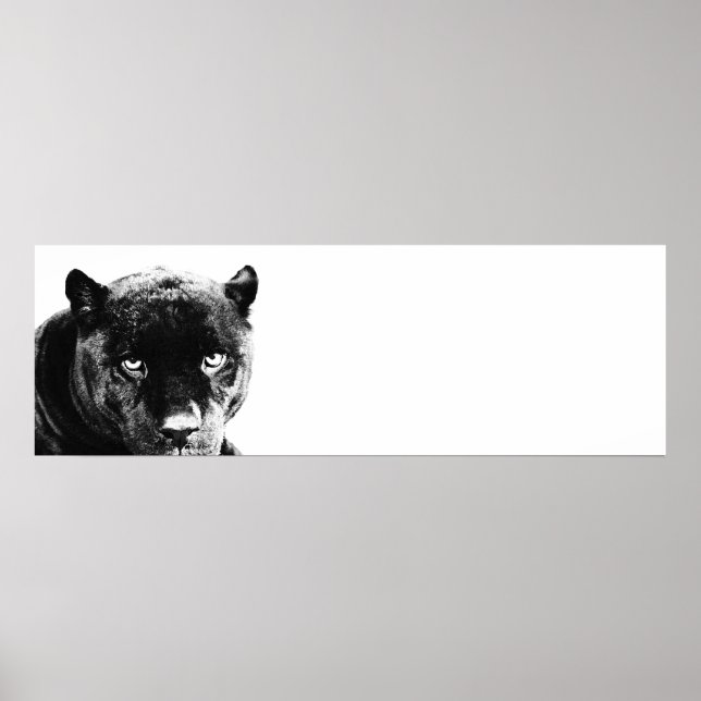 Pôster Eyes Jaguar Pop Art (Frente)