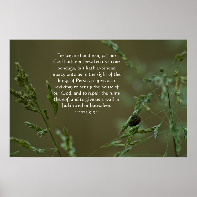 Pôster Ezra 9:9 (Frente)