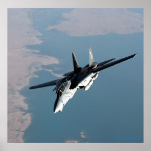 Poster F14 dos Jolly Rodgers