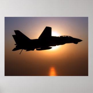 Pôster F14 Sobre A Patrulha Sunset