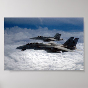 PÔSTER F-14