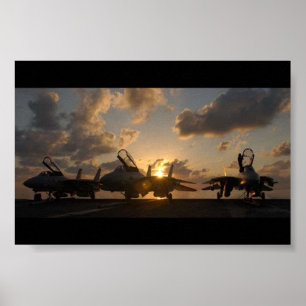 POSTER F-14