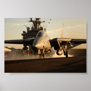 PÔSTER F-14