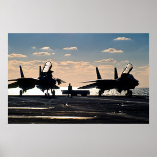 Pôster F-14 Tomcat