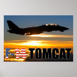 POSTER F-14 TOMCAT