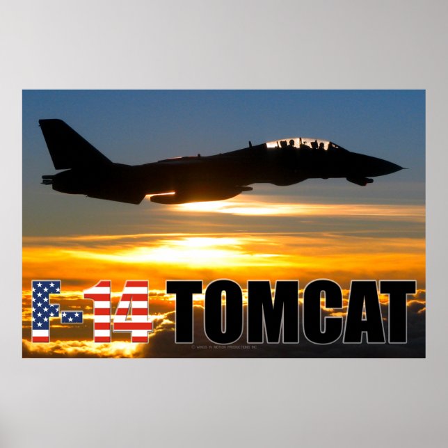 POSTER F-14 TOMCAT (Frente)