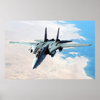 Pôster F-14 Tomcat