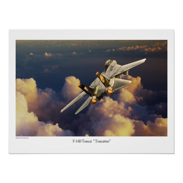 Pôster F-14 Tomcat  (Frente)