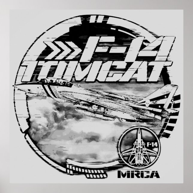 Poster F-14 Tomcat (Frente)
