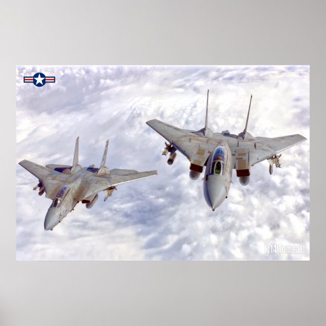 POSTER F-14 TOMCAT (Frente)