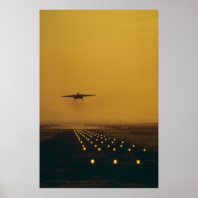 Pôster F-14 Tomcat (Frente)