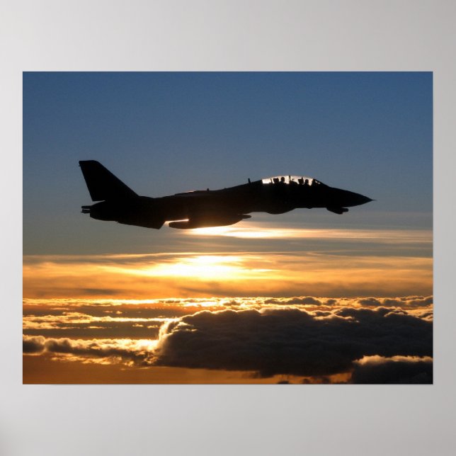 Poster F-14D Tomcat (Frente)