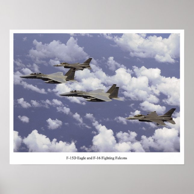 Poster F-15D Águia e F-16 Falcões de Luta (Frente)