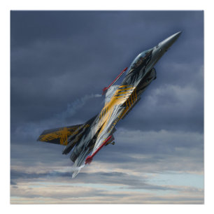 Pôster F-16 XTM X-Tiger