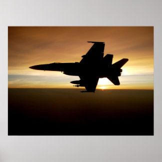 Pôster F/A-18 Hornet