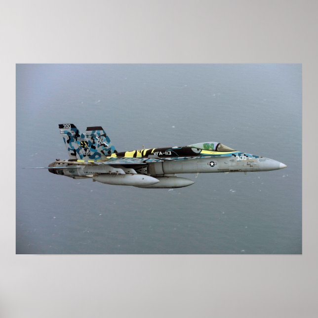 Pôster F/A-18C Hornet (Frente)