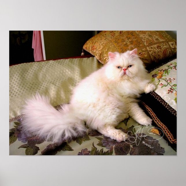 Poster faaaabuuuuulus!!! (Frente)