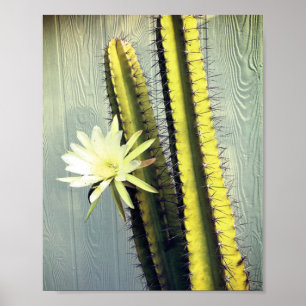 Poster Fábrica de Cactus com Fotografia Flor e Arte Natu