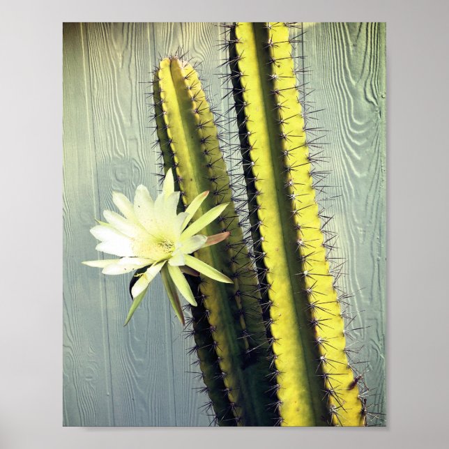Poster Fábrica de Cactus com Fotografia Flor e Arte Natur (Frente)