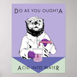 Poster Faça como você Oughta