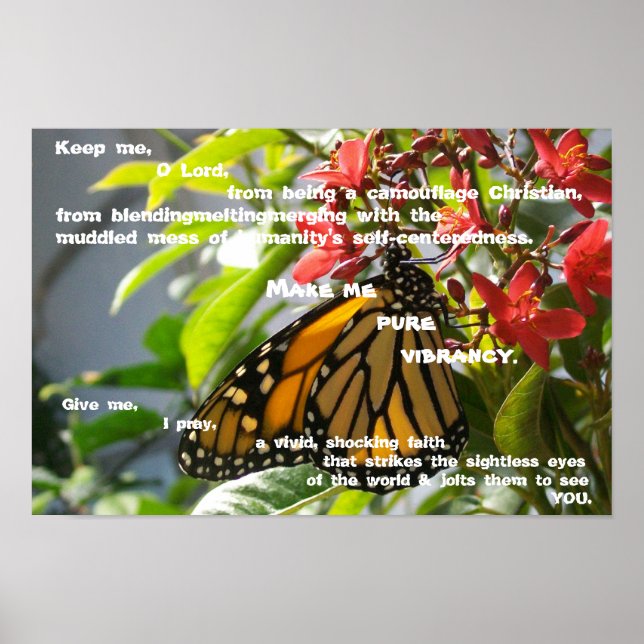 Pôster Faça-me uma vibração pura (Frente)