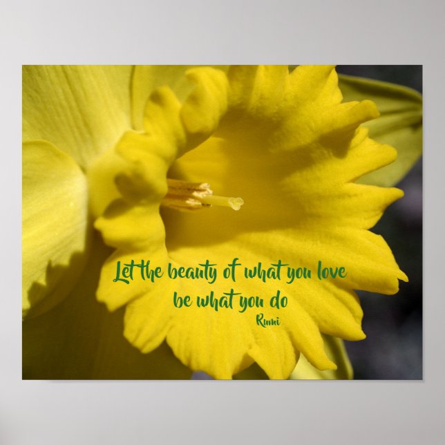 Poster Faça o que você ama, Daffodil Inspirational Rumi C (Frente)