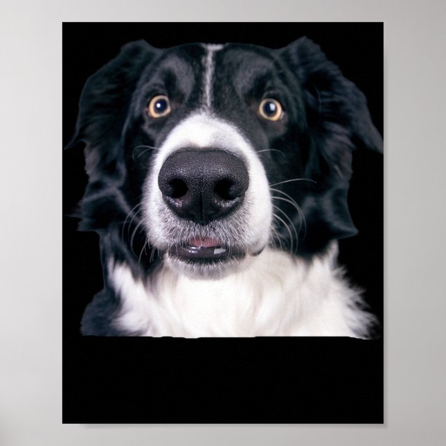 Poster Face de Cachorro Preto e Branco (Frente)