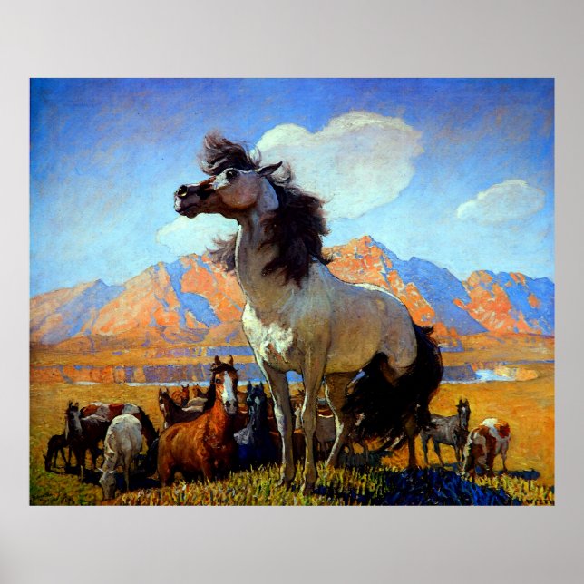 Poster Face De Fumo N C Wyeth Circa 1917 (Frente)