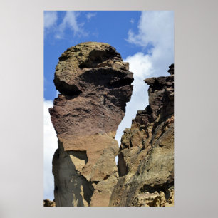 Poster Face de macaco