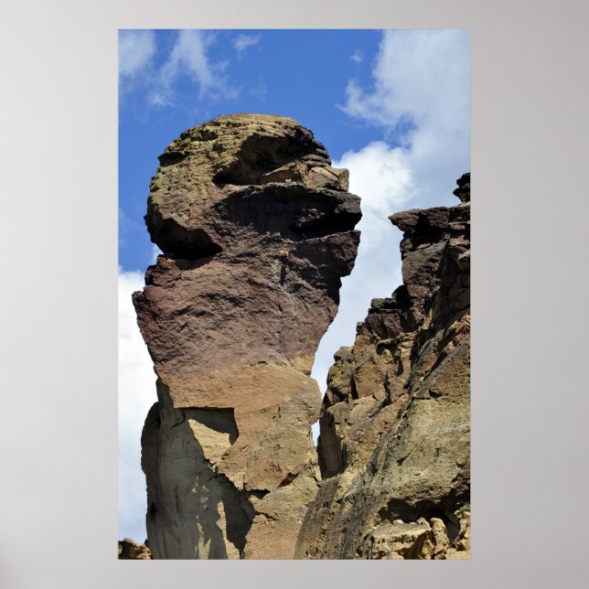 Poster Face de macaco (Frente)