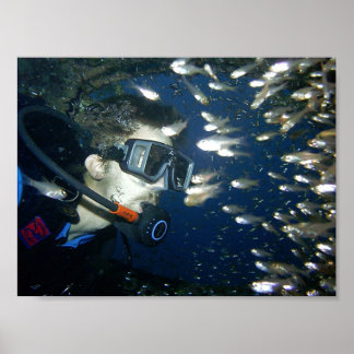 Pôster Face to Face