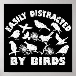 Poster Fácil Distração Por Aves