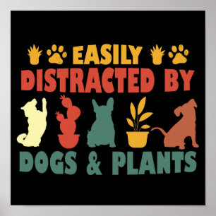 Poster Facilmente Distraído Por Cães E Plantas