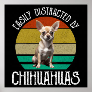 Poster Facilmente Distraido Por Chihuahuas