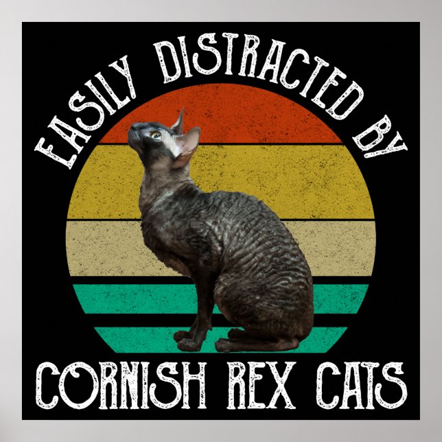 Poster Facilmente Distraído Por Gatos Cornish Rex (Frente)