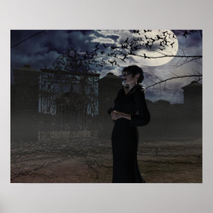 Poster Fada escura no luar