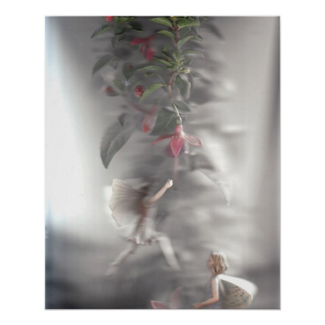 Pôster Fadas 3 (Frente)