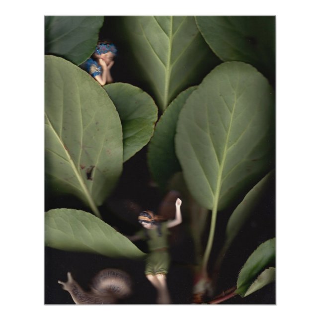 Pôster Fadas 7 (Frente)