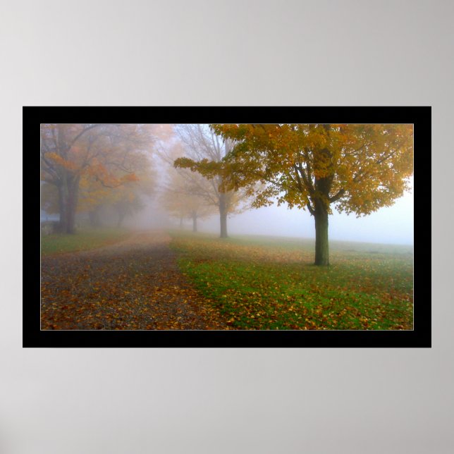 Pôster Fade to White (Frente)