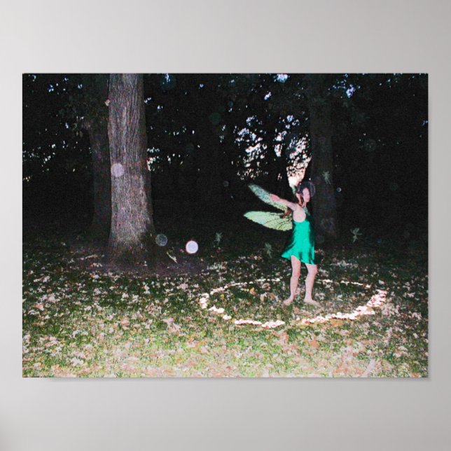 Poster Faerie Dance (Frente)