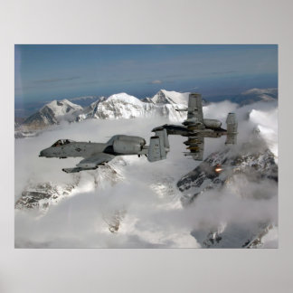 Pôster Fairchild-Republic A-10 Warthog