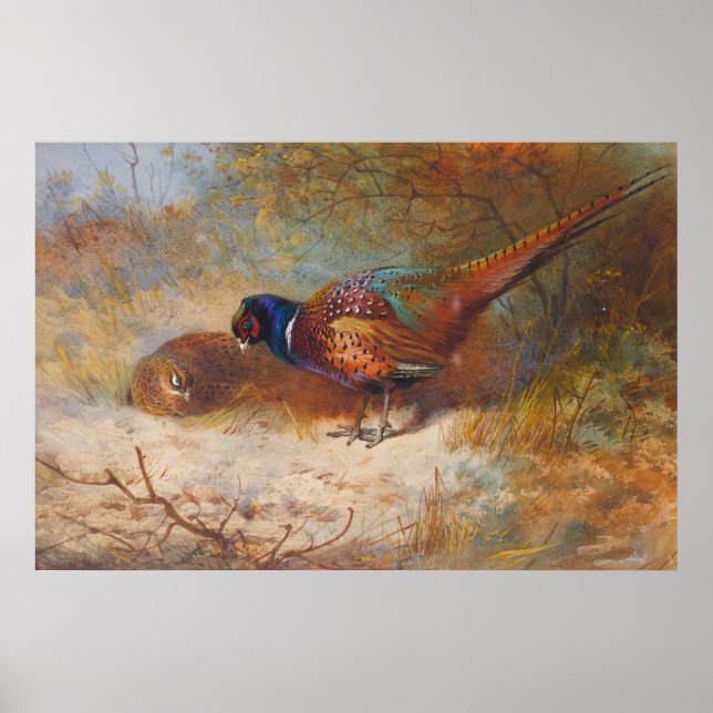 Poster Faisão (Frente)