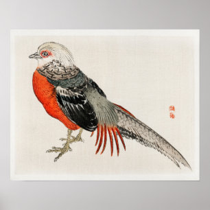 Poster faisão japonesa por Kōno Bairei (1844-1895)